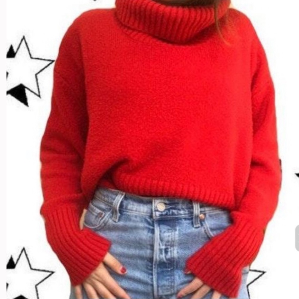 Rachel Zoe oversized turtle neck sweater